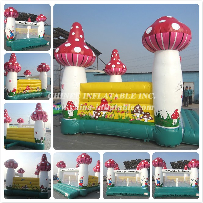 a - Chinee Inflatable Inc.