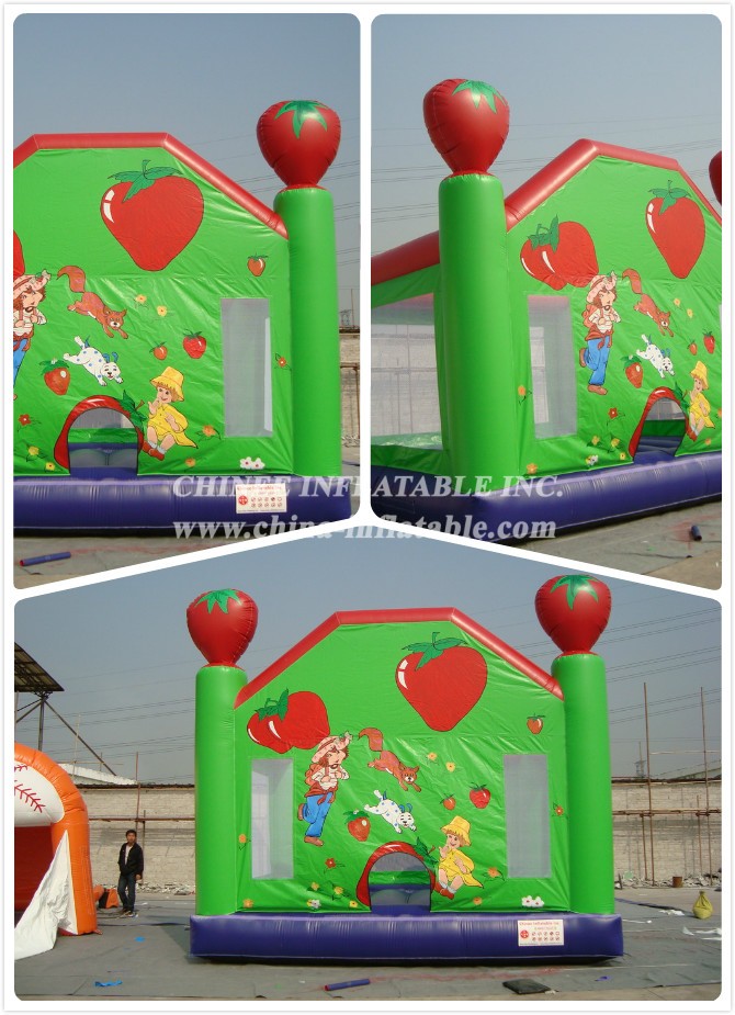 a - Chinee Inflatable Inc.