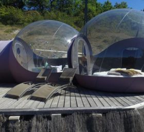 Tent1-5027 퍼플 버블 텐트