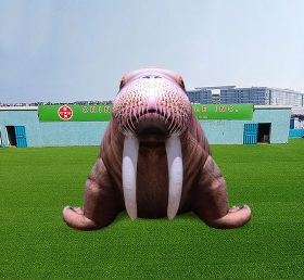 S4-653 자이언트 해마 광고 해마