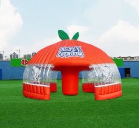 Tent1-6001 풍선 돔 텐트