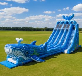 T8-7882 Whale Theme Giant Slide