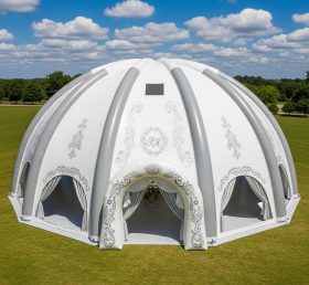 Tent1-4983 Weddings Theme Inflatable Dom...