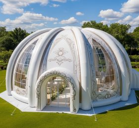 Tent1-4986 Weddings Theme Inflatable Dom...