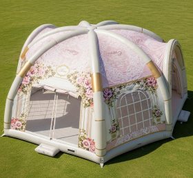 Tent1-6005 Weddings Theme Inflatable Dom...