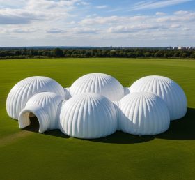 Tent1-6212 White Dome Cluster Inflatable...