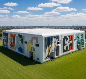 Tent1-6437 Inflatable Abstract Art Pavil...